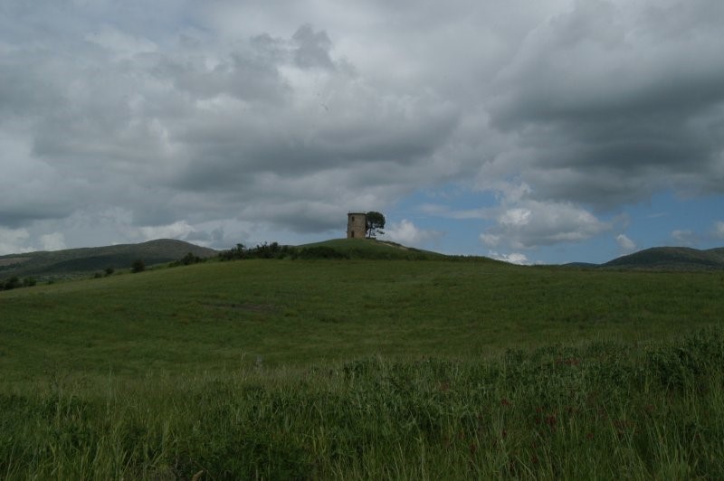 BIBBONA CAMPAGNA